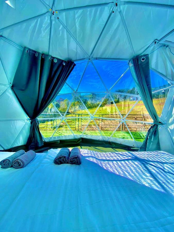 Tente de luxe ข้างเขาแคมป์ Khangkhao Camp